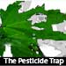 The Pesticide Trap